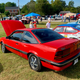 Illustration for article titled Car show today! And the Sunbird has an uninvited guest.